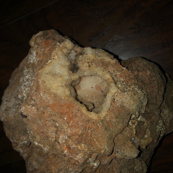 Ancient Ocean fossilized coral - Picture 4 of 6